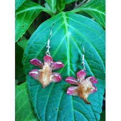 Обици Орхидея Аеридис Розеа, розови