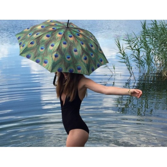 Паунови пера, прав